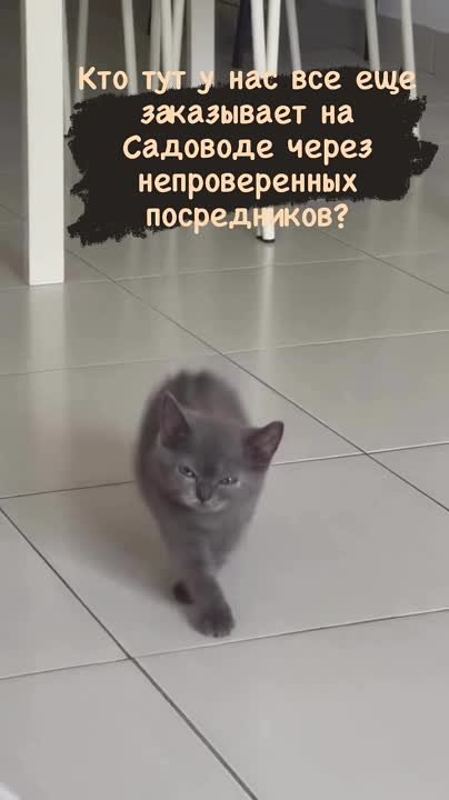 Хотите, чтобы ваш заказ с Садовода прошел на ура, без неприятных сюрпризов?